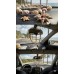 Car Decore Natural Sea Shell Necklace عقد صدف بحر طبيعي لديكور السيارات